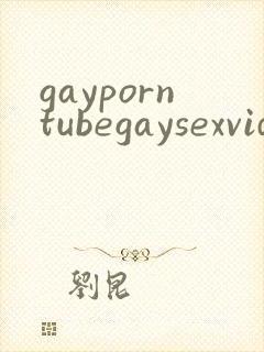 gayporntubegaysexvideos