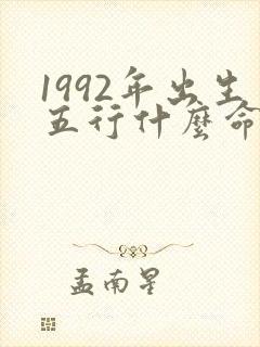 1992年出生五行什么命