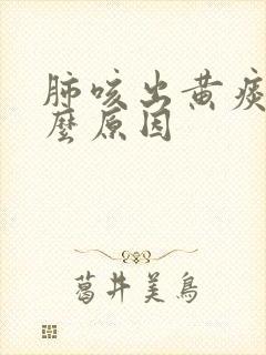 肺咳出黄痰是什么原因