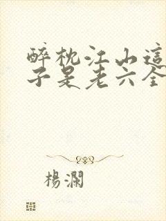 醉枕江山这个皇子是老六全集免费