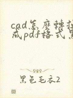 cad怎么转换成pdf格式黑白色