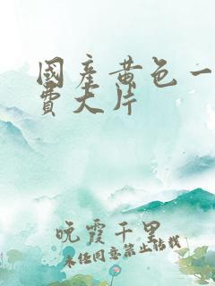 国产黄色一级免费大片