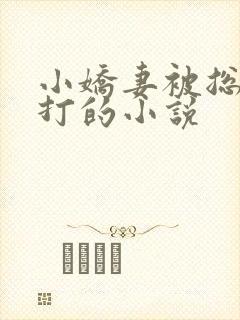 小娇妻被总裁挨打的小说