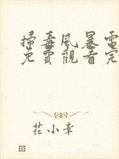 扫毒风暴电视剧免费观看完整版高清