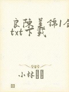 良陈美锦1全文txt下载