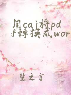 用caj将pdf转换成word