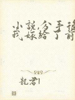 小说,分手后,我嫁给了前男友的小叔
