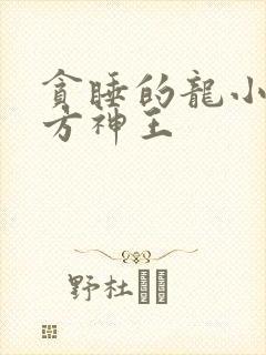 贪睡的龙小说十方神王