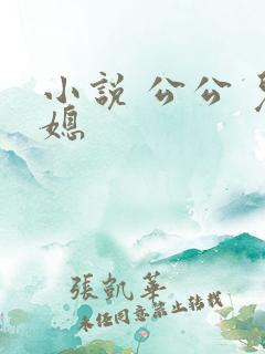 小说 公公 儿媳