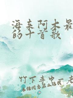 海来阿木最好听的十首歌
