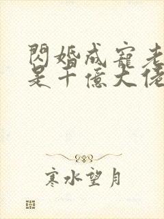 闪婚成宠老公竟是千亿大佬短剧