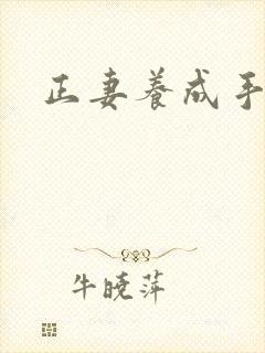 正妻养成手册