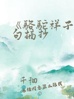 《骆驼祥子》好句摘抄