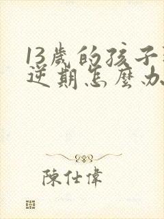 13岁的孩子叛逆期怎么办男孩