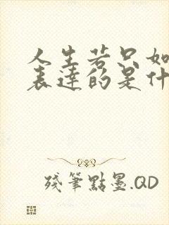 人生若只如初见表达的是什么情感