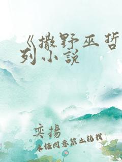 《撒野巫哲》系列小说
