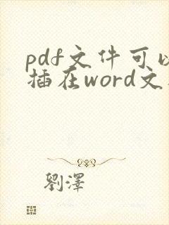 pdf文件可以插在word文档里面吗