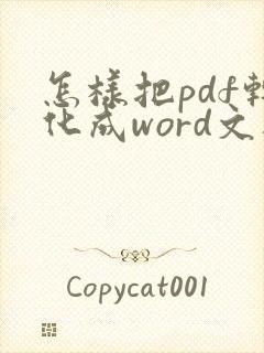 怎样把pdf转化成word文档