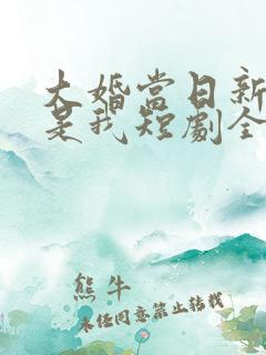 大婚当日新娘不是我短剧全集