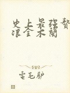 史上最强赘婿沈浪金木兰