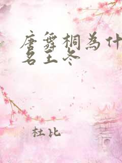 唐舞桐为什么化名王冬