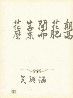 花生开花期喷什么叶面肥高产