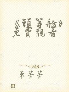 《头等舱》电影免费观看