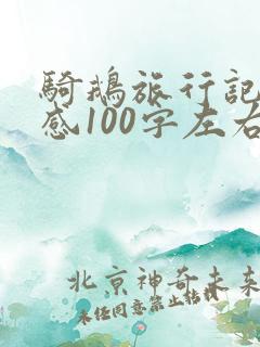 骑鹅旅行记读后感100字左右