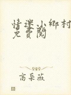 情迷小乡村小说免费阅