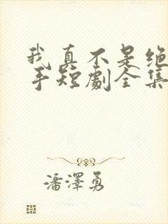 我真不是绝世高手短剧全集