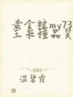 黄金粮my73玉米种品质介绍