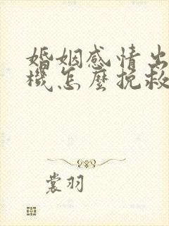 婚姻感情出现危机怎么挽救
