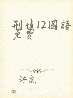 刑侦12国语版免费