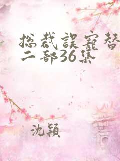总裁误宠替身第二部36集