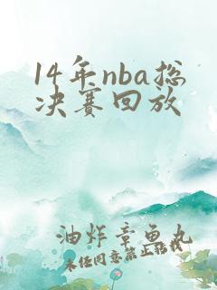 14年nba总决赛回放
