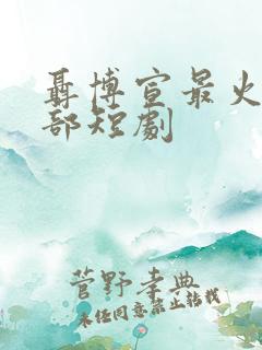 聂博宣最火的十部短剧