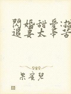 闪婚甜爱:总裁追妻太辛苦
