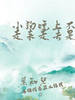 小狗晚上不睡觉走来走去是什么原因