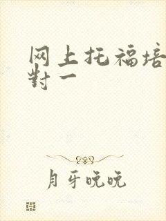 网上托福培训一对一