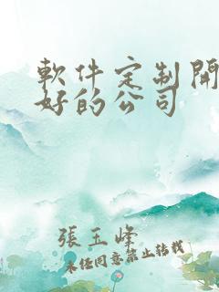 软件定制开发较好的公司