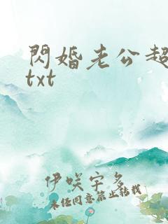 闪婚老公超能干txt