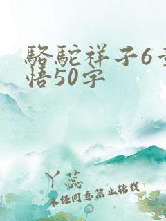 骆驼祥子6章感悟50字