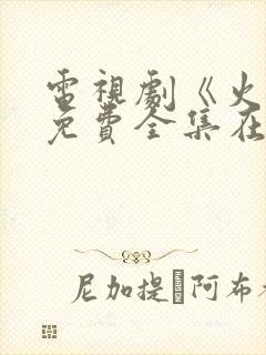 电视剧《火神》免费全集在线观看