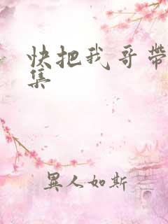 快把我哥带走1集