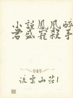 小说凤凰醉:邪君盛宠杀手妃免费阅读