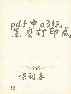 pdf中a3纸怎么打印成a4两版