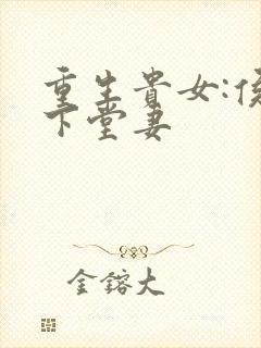 重生贵女:侯府下堂妻
