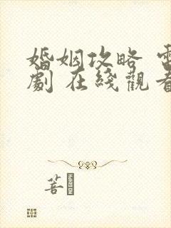 婚姻攻略 电视剧 在线观看