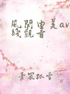 风间由美av在线观看