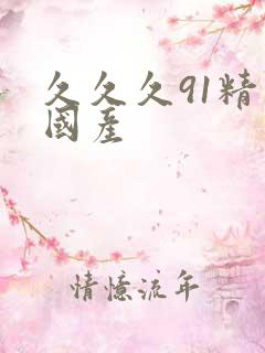 久久久91精品国产